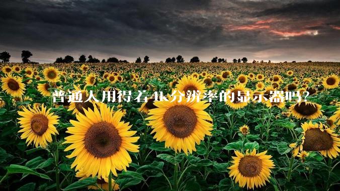 普通人用得着4k分辨率的显示器吗？