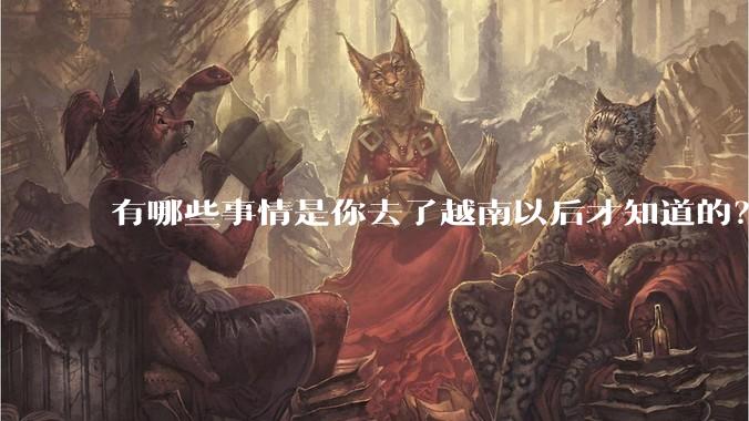 有哪些事情是你去了越南以后才知道的？