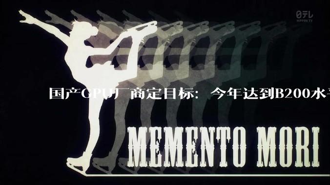 国产GPU厂商定目标：今年达到B200水平，明年超过英伟达！_芯片_架构_中国