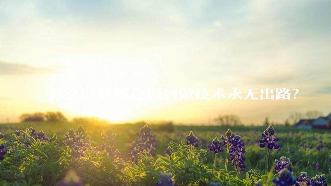 什么时候你意识到做技术永无出路？