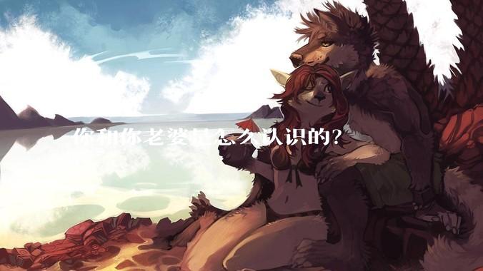 你和你老婆是怎么认识的？