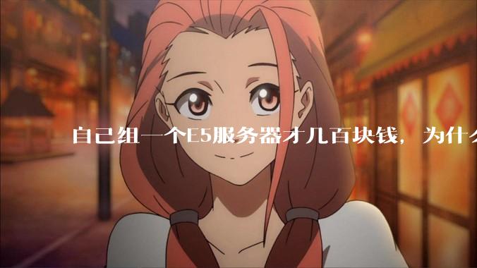 自己组一个E5服务器才几百块钱，为什么去阿里云租这么贵?