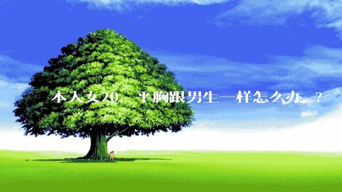本人女20，平胸跟男生一样怎么办 ?